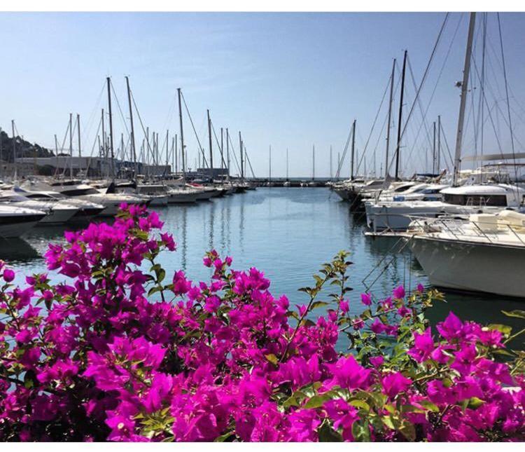 Welcome Migliarina La Spezia Exterior photo
